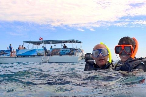 Key West: Catamaran Dolphin & Snorkel Tour