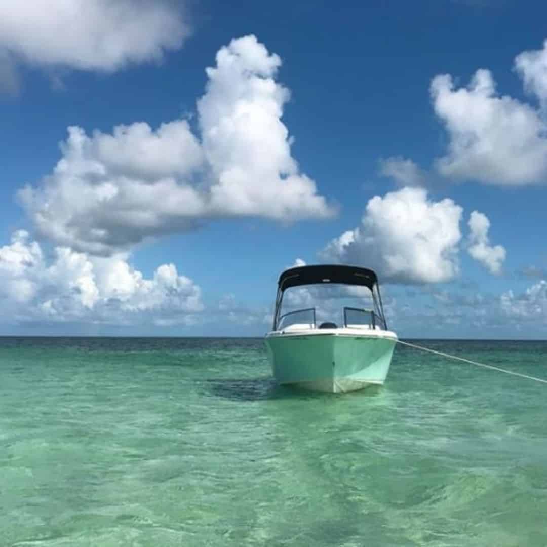 Backcountry Paradise Private Charter TripShock!