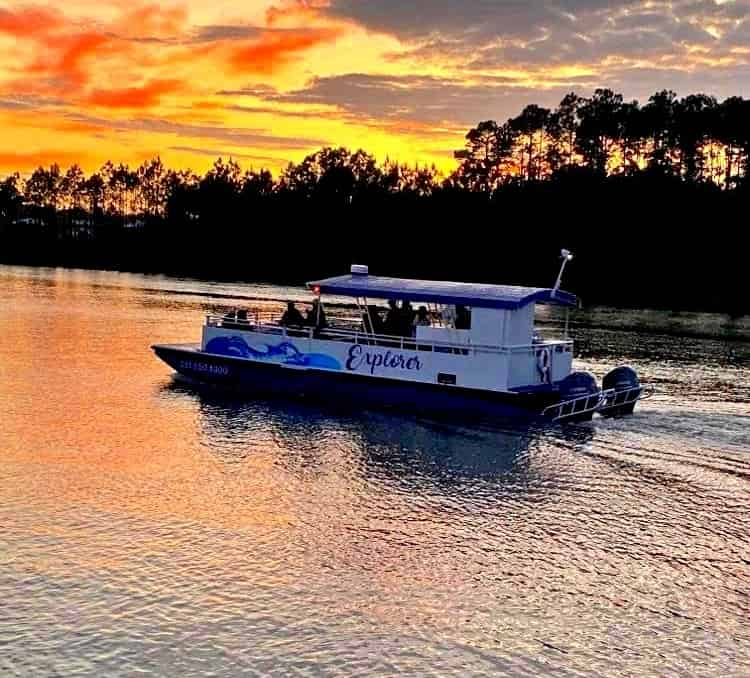 Dolphin-and-Nature-Sunset-Cruise-On-the-Explorer-Orange-Beach