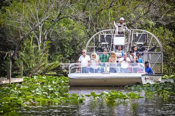 Morning-Everglades-Airboat-Excursion-with-Transportation-by-Gray-Line-Miami