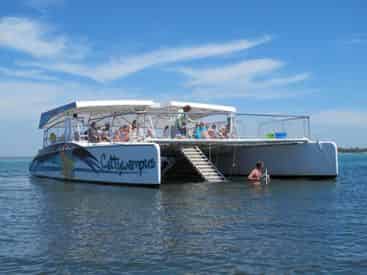 Sunset Dolphin & Snorkel Cruise with Cattywampus Aquatic Adventures