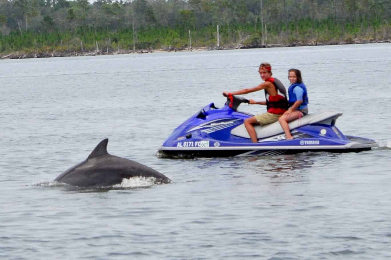 Private-Waverunner-Dolphin-Tours-with-Emerald-Water-Adventures