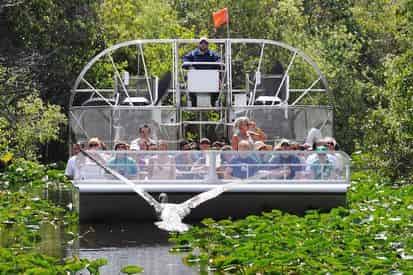 Everglades Safari Park Admission by Gray Line Miami