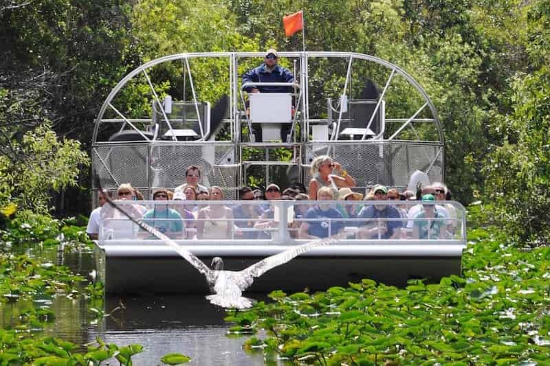 Everglades-Safari-Park-Admission-by-Gray-Line-Miami