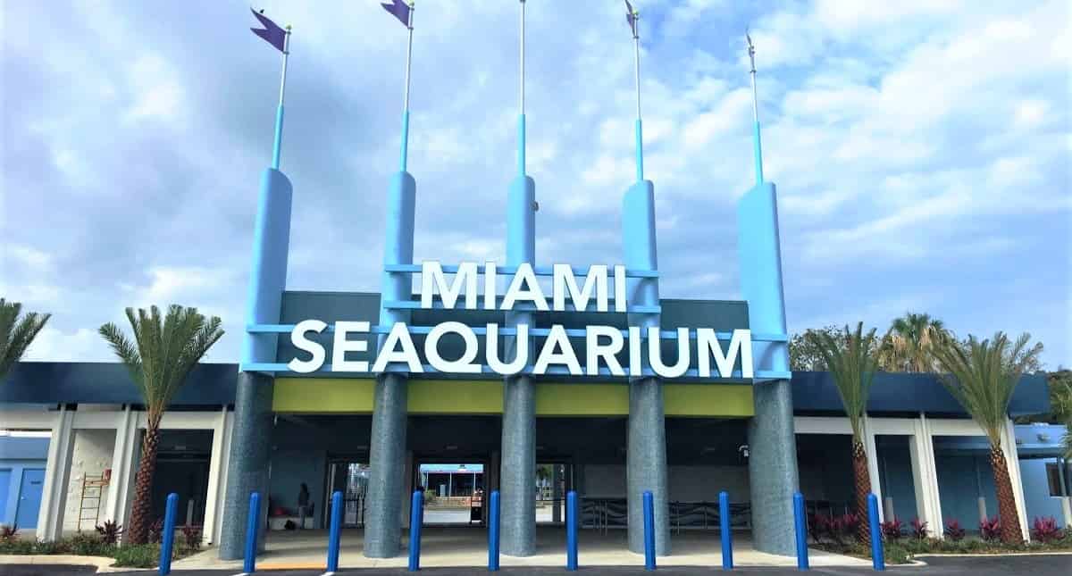 Miami-Seaquarium-Admission-by-Gray-Line-Miami
