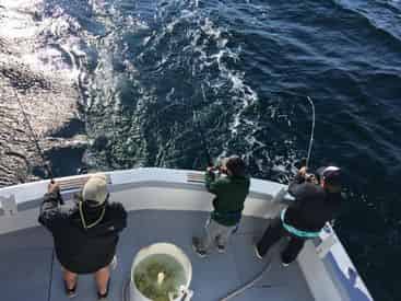 Inshore & Deep Sea Fishing Charters with Charter Boat Screamn Drag