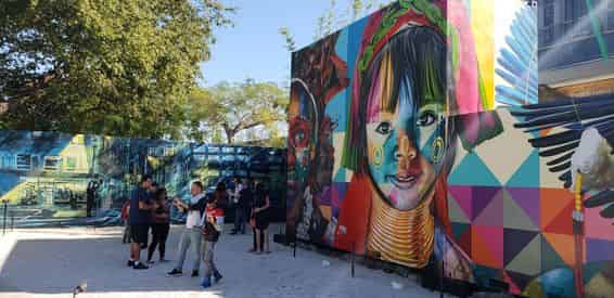 Wynwood Art & Drinks Tour