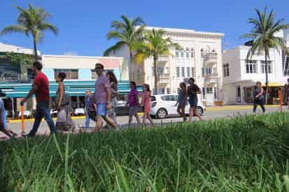 Miami Beach: Culture, Fashion & History Tour