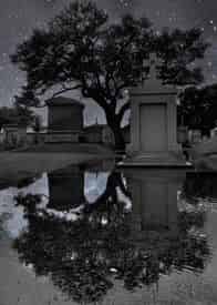 Tableau Tours Cities of the Dead Bus Tour with Tavern Stop