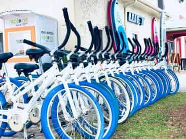 3 Day Bicycle Rental with WET Inc.