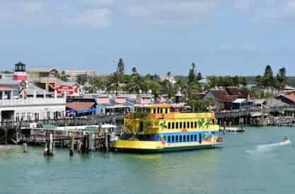 Calypso Breeze Tropical Themed Afternoon Cruise with Optional Buffet