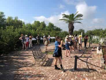 Whitney & Oak Alley Plantation Tour Transportation Included