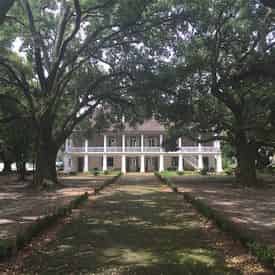 Whitney Museum Plantation & Pontoon Swamp Boat Tour with Transportation