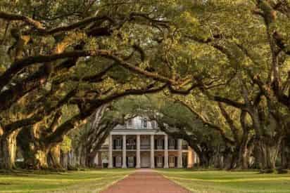 Oak Alley Antebellum Plantation & Pontoon Swamp Boat Tour with Transportation