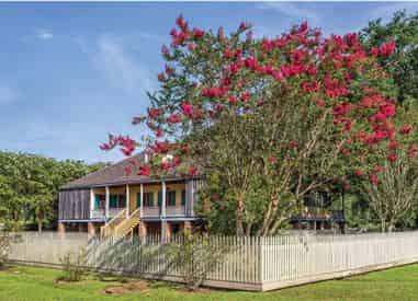Laura Creole Plantation & Pontoon Swamp Boat Tour with Transportation