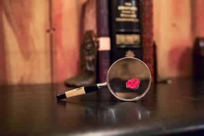 The Study Escape Room at Escape Manor