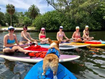 Sup Pup Fort Lauderdale Paddleboard Tour