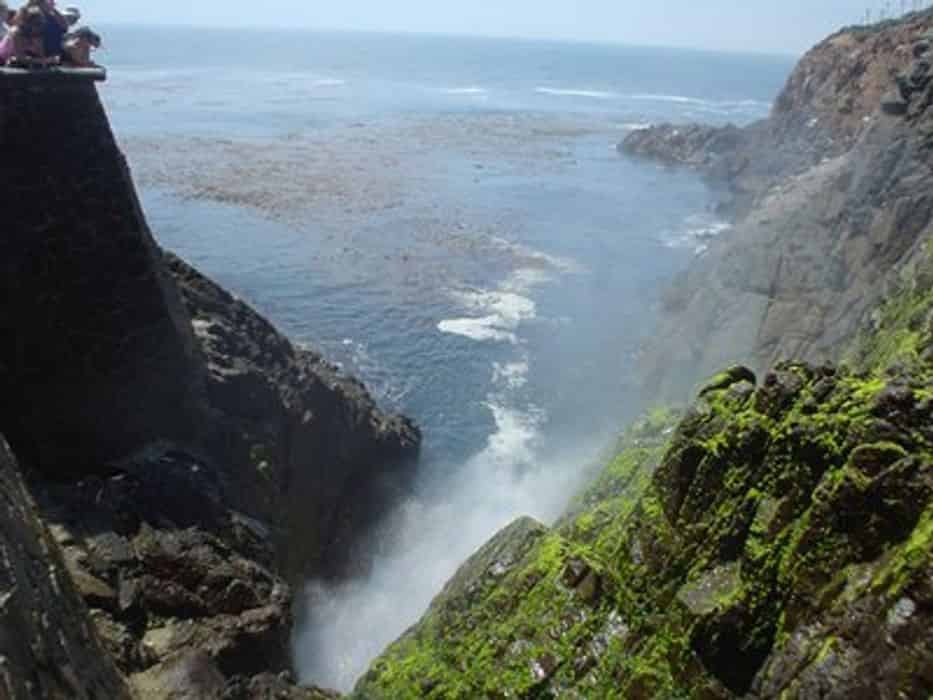 Baja Coastal Tour of Ensenada, Mexico TripShock!