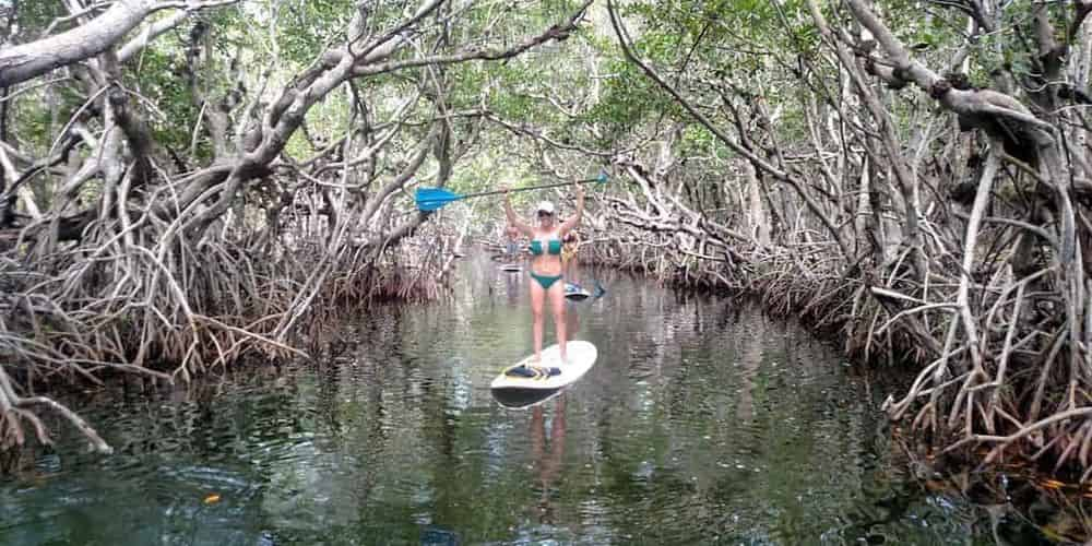 PADDLE! the Florida Keys, Inc.