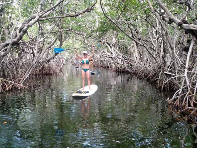 Mangroves Kayak and Paddleboard Rentals