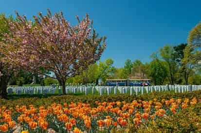 Arlington National Cemetery Trolley Tour
