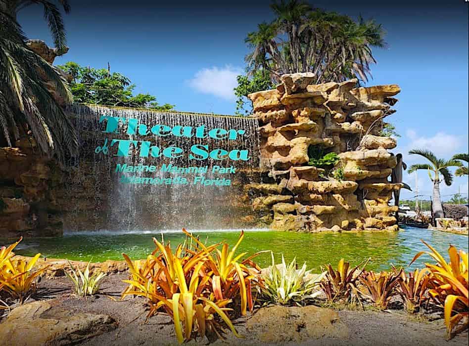 Islamorada Theater of the Sea Tour with Transportation TripShock!