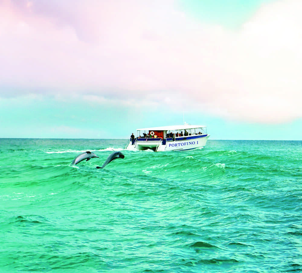 Pensacola-Beach-Sunset-Dolphin-Cruise