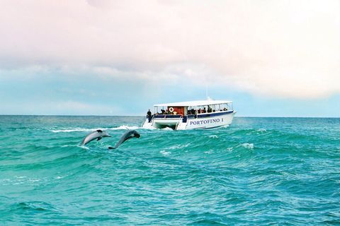 Pensacola Beach Sunset Dolphin Cruise