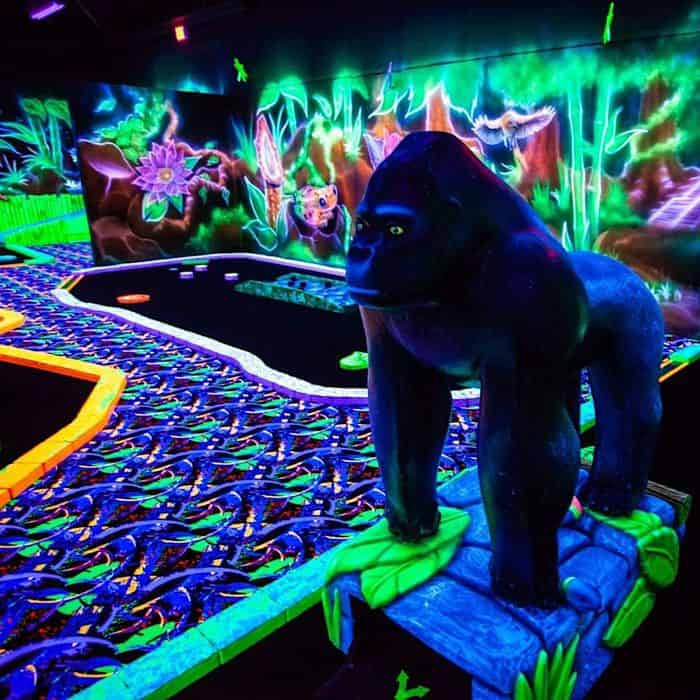 oceans 18 black light mini golf closed