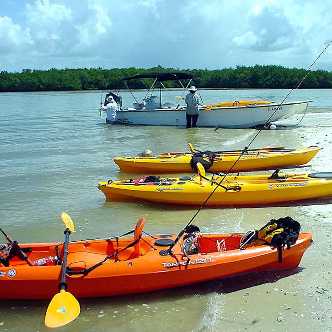 Everglades Boat Assisted Kayak Eco Tour - TripShock!