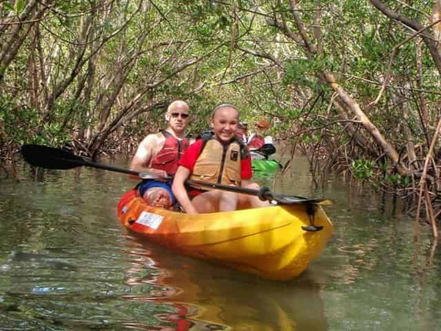 Guided Mangroves Kayak Eco Tour - Fort Myers