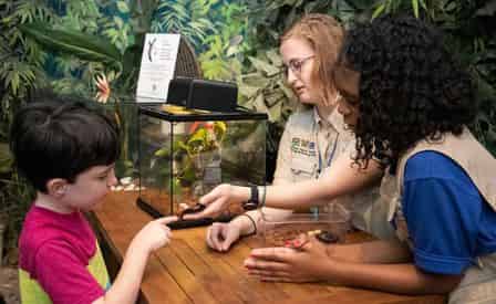 New Orleans Audubon Butterfly Garden & Insectarium Admission Ticket