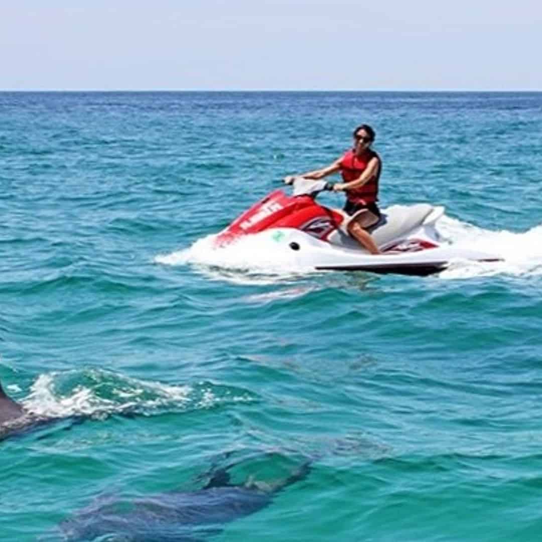 miami jet ski tour star island and wild dolphins