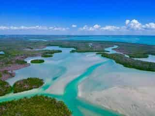 Dolphin Watching in Marco Island, Florida