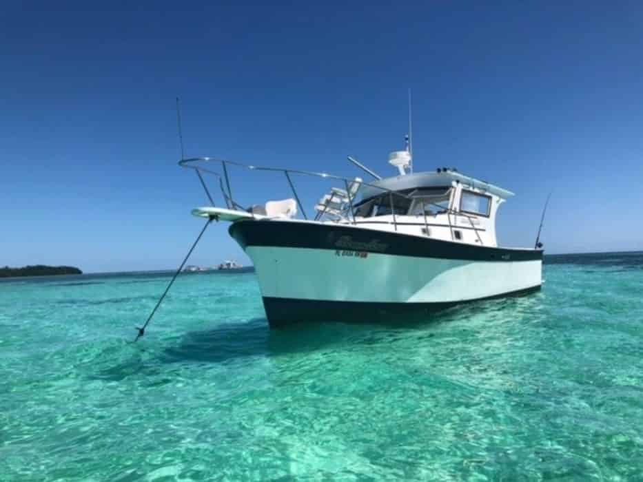 private-key-west-morning-boat-charter-up-to-6-guests-tripshock