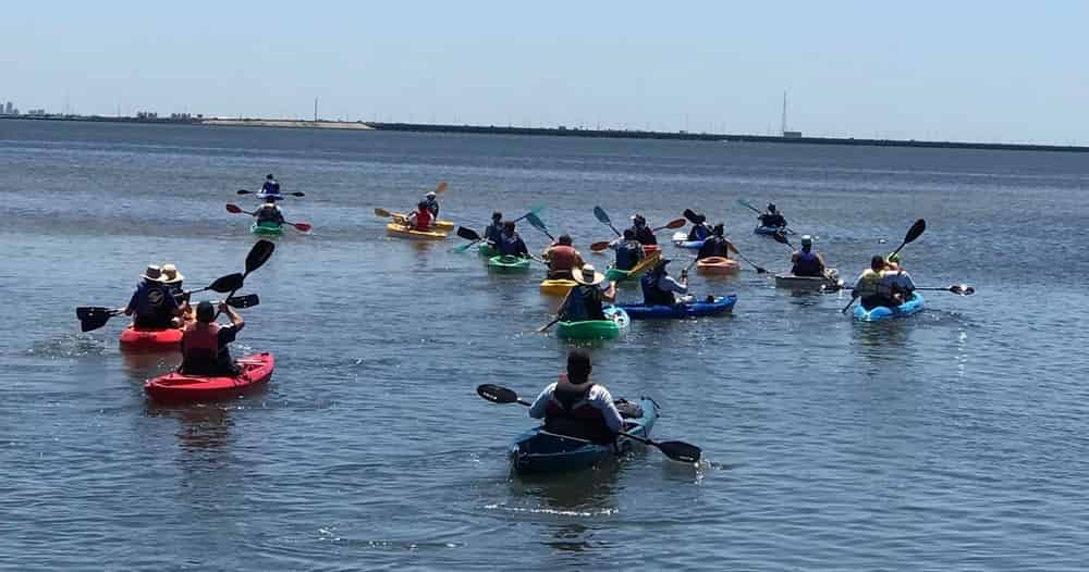 Kayak-Eco-Tour-in-Tampa-Bay