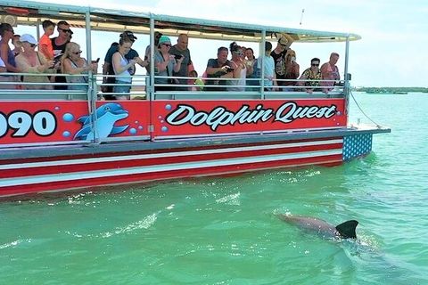 Madeira Beach: John's Pass Dolphin Tour Aboard The Dolphin Quest