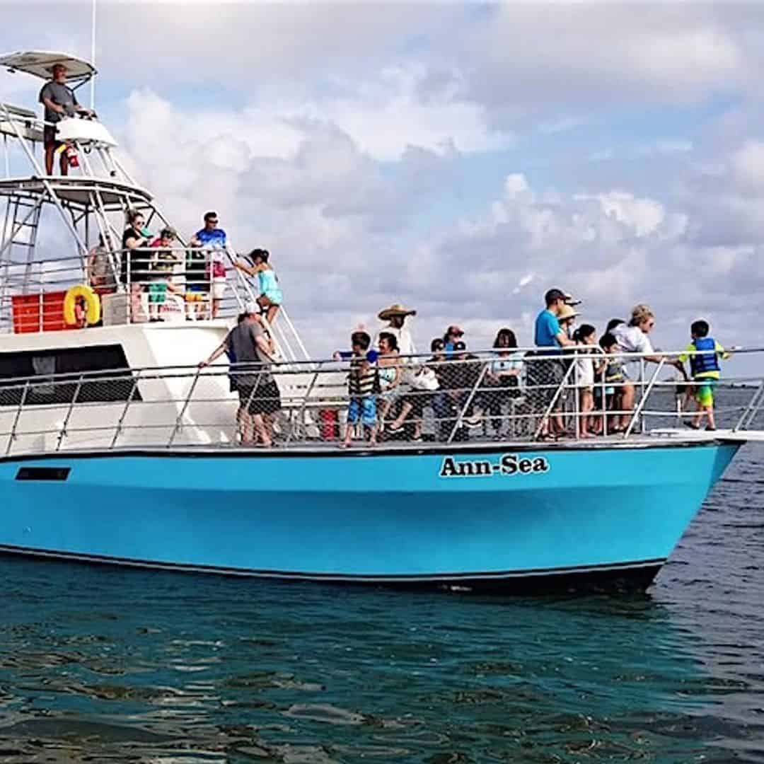dolphin cruise fort morgan alabama