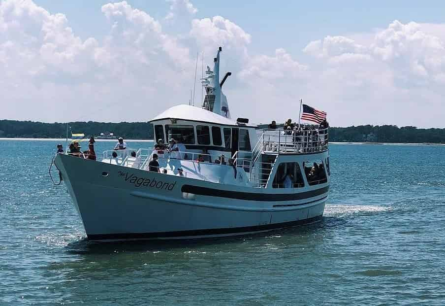 Hilton Head Daytime Dolphin Watch Sightseeing Cruise TripShock