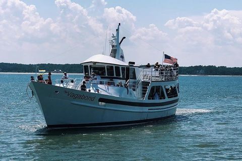 Hilton Head Daytime Dolphin Watch & Sightseeing Cruise