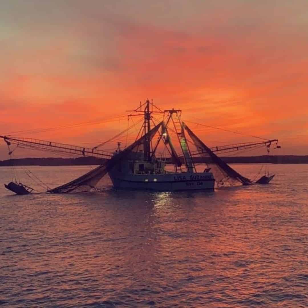 Hilton Head Shrimp Trawling Expedition TripShock!