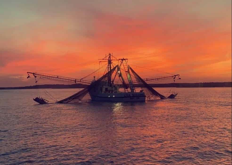 Shrimp Boat Excursions Hilton Head, Least Expensive Boats 950