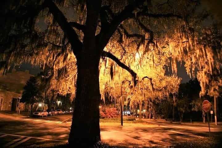 13-Ghosts-Haunted-Walking-Tour-of-Savannah