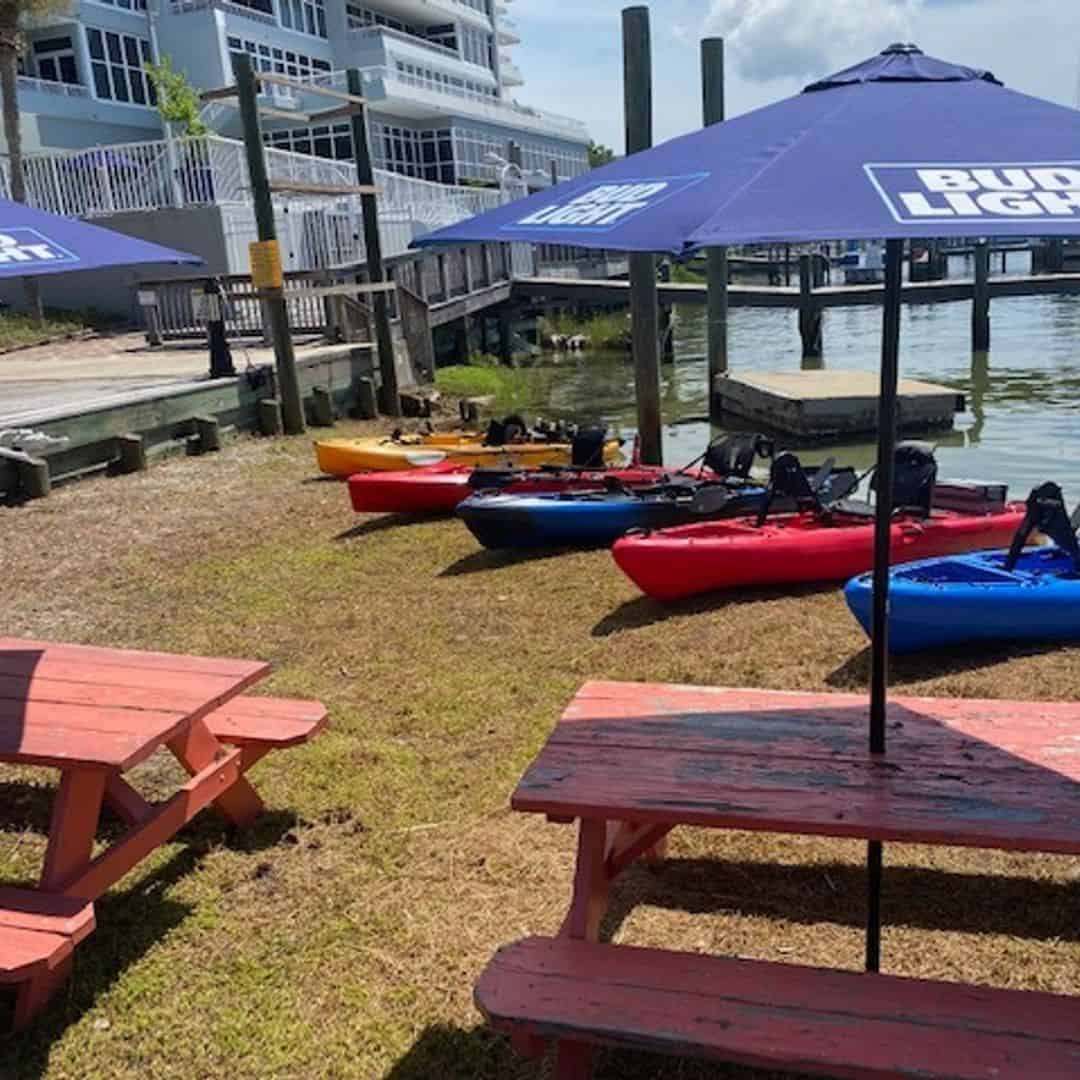 rent pedal kayak