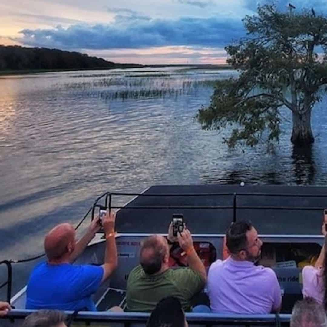 florida everglades night tour