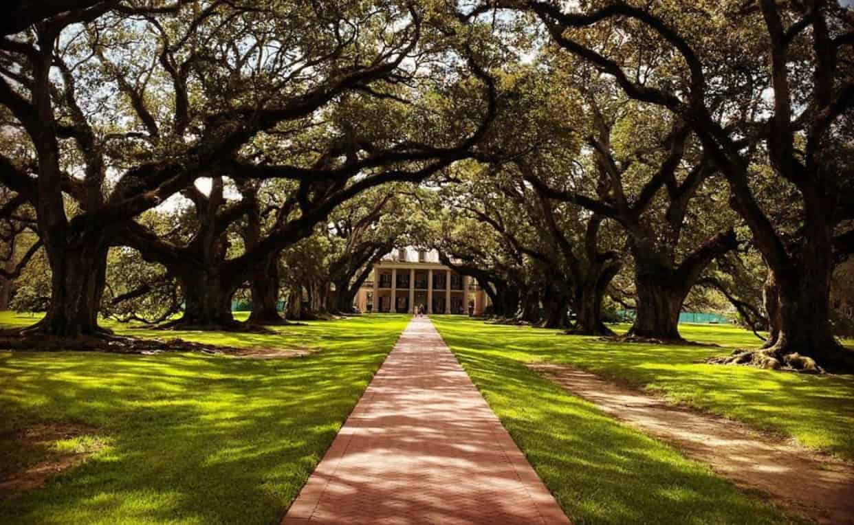 Oak-Alley-Plantation-Tour-with-Transportation