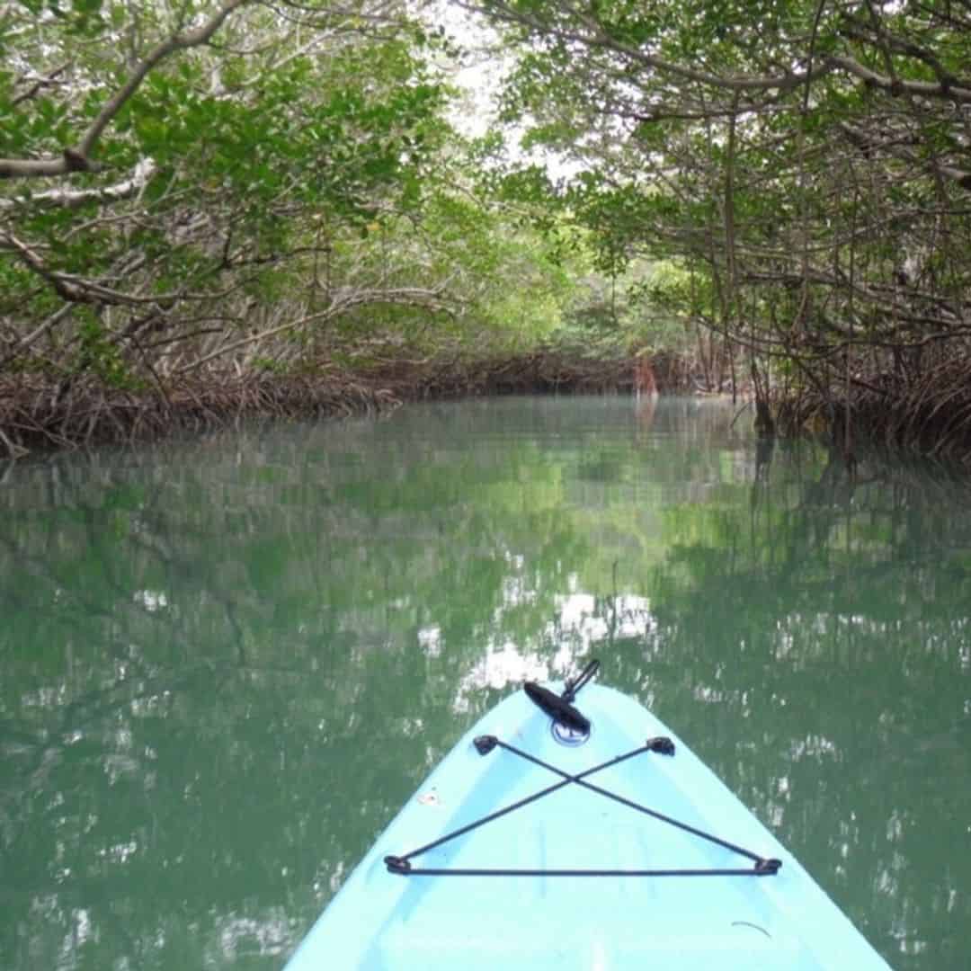 Turkey Creek Kayak Adventure TripShock!