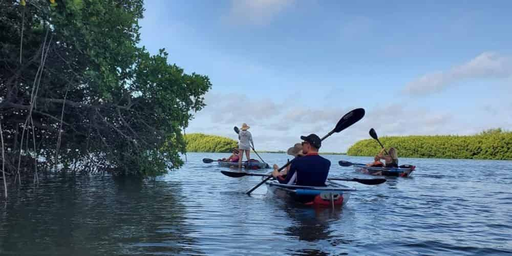 Get Up and Go Kayaking Tampa Bay