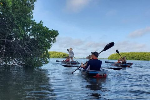 Clear Kayaking Guided Tour at Shell Key Preserve