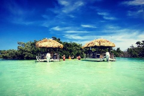 4 Hour Private Sandbar Cruise on a Tiki Bar Boat